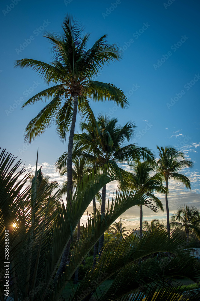 Boucan Canot Beach at Reunion Island Boucan Canot Beach at Reunion Island