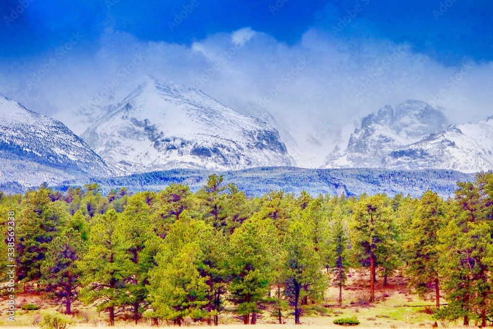 Snow covered Rocky Mountains with Pine Forest foreground, Colorado, Estes Park