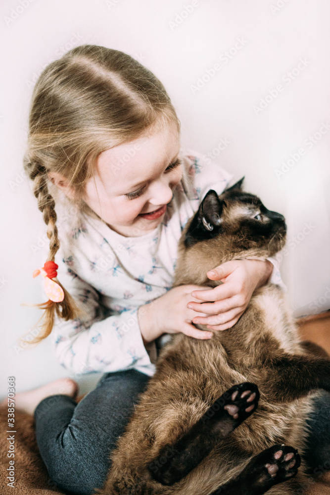 A little girl laughs and plays with her beloved pet. Siamese beautiful and very patient cat. Children and animals. Happiness in the family. Family atmosphere. Without a cat life is not good A little girl laughs and plays with her beloved pet. Siamese beautiful and very patient cat. Children and animals. Happiness in the family. Family atmosphere. Without a cat life is not good
