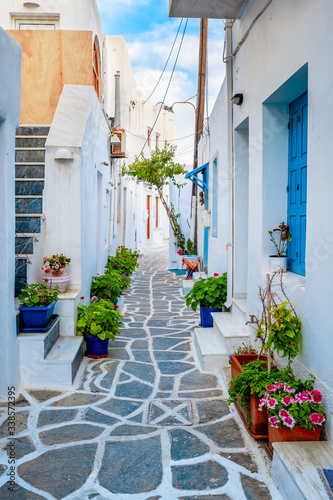 Fototapeta Naklejka Na Ścianę i Meble -  Picturesque narrow street with traditional whitewashed houses with blooming flowers of Naousa town in famous tourist attraction Paros island, Greece