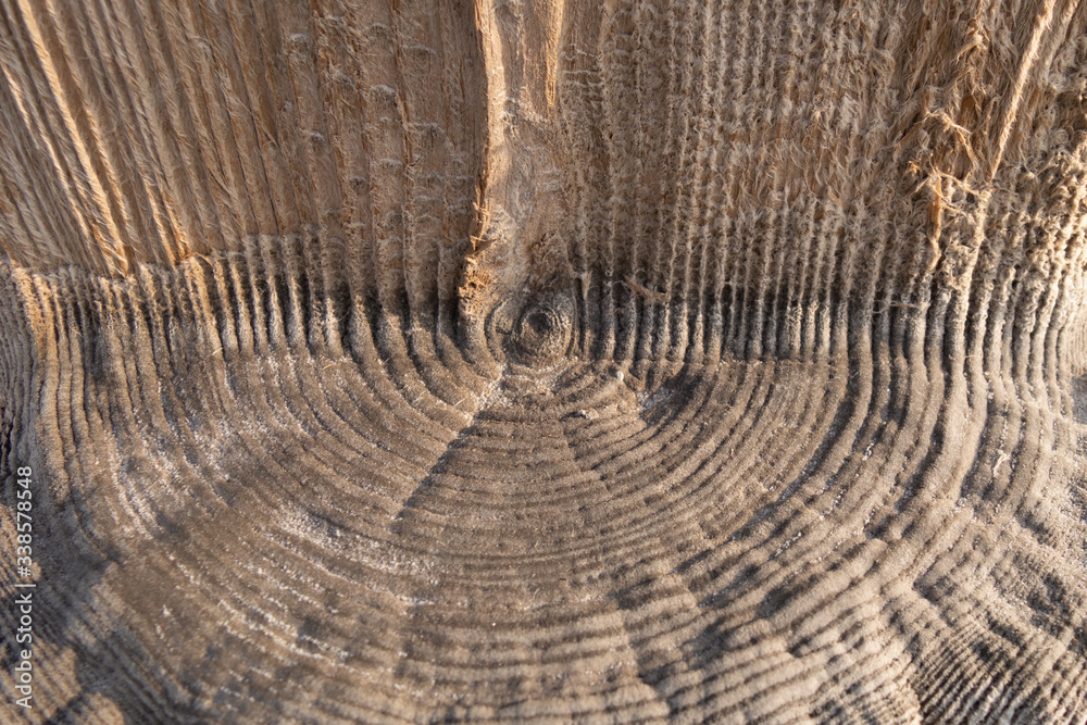 Fototapeta premium Fancy texture of ancient wooden pillars covered with salt particles.
