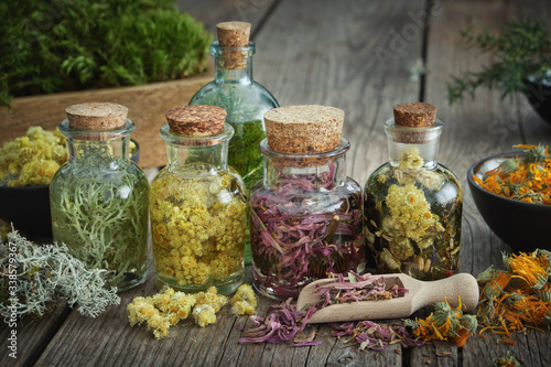 Bottles of tincture or infusion of healthy medicinal herbs and dried healing plants and flowers on table. Herbal medicine. photo