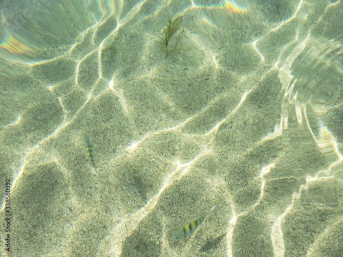água cristalina, peixe, amarelo, transparente, férias, natureza, 