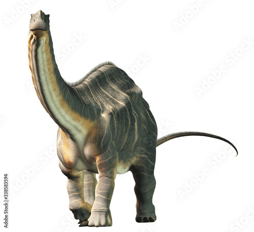 Apatosaurus was a sauropod dinosaur. A herbivore, it lived in during the Late Jurassic Period in what is now North America. On a white background. 3D Rendering © Daniel Eskridge