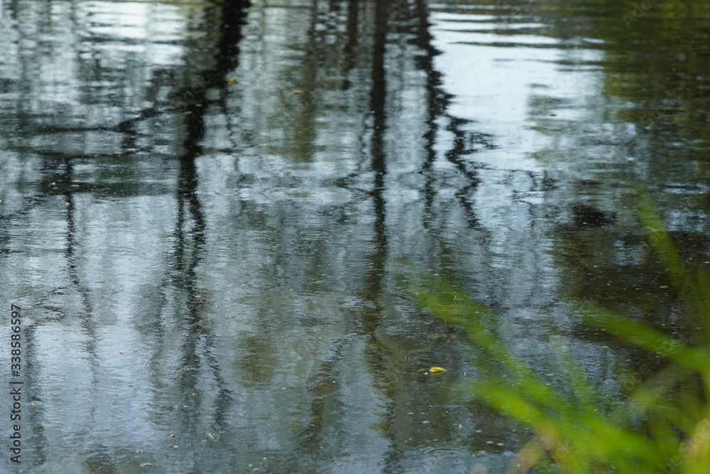 Licht, Wasser und Natur Licht, Wasser und Natur
