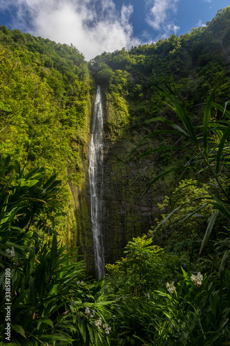 Waimoku Falls o the Pipiwai Trail photo