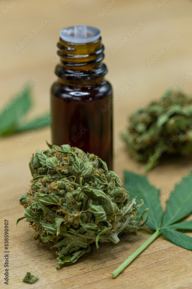 Cbd oil pot with a natural marijuana bud. Ideal home-made oils and essences for a healthy lifestyle. Alternative to medicines. The leaves, trichomes, terpenes and pollen are observed. Cbd oil pot with a natural marijuana bud. Ideal home-made oils and essences for a healthy lifestyle. Alternative to medicines. The leaves, trichomes, terpenes and pollen are observed.
