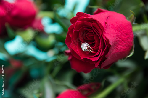 Diamond Ring On Red Rose  eart shaped box with red roses.