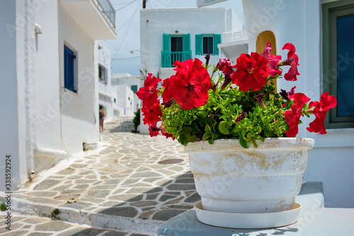 Picturesque narrow street with traditional whitewashed houses with focus on blooming geranium flower of Naousa town in famous tourist attraction Paros island, Greece