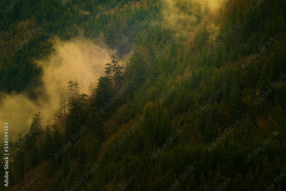 fog in the mountains