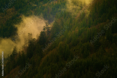 fog in the mountains