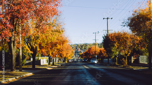 autumn in the city