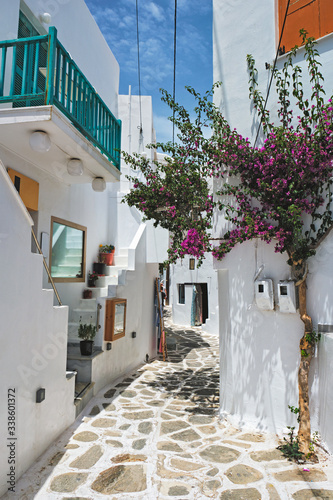 Picturesque narrow street with traditional whitewashed houses with blooming bougainvillea flowers of Naousa town in famous tourist attraction Paros island, Greece © Dmitry Rukhlenko