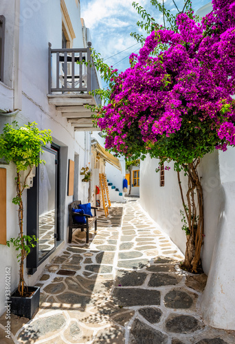Fototapeta Naklejka Na Ścianę i Meble -  Picturesque narrow street with traditional whitewashed houses with blooming bougainvillea flowers of Naousa town in famous tourist attraction Paros island, Greece