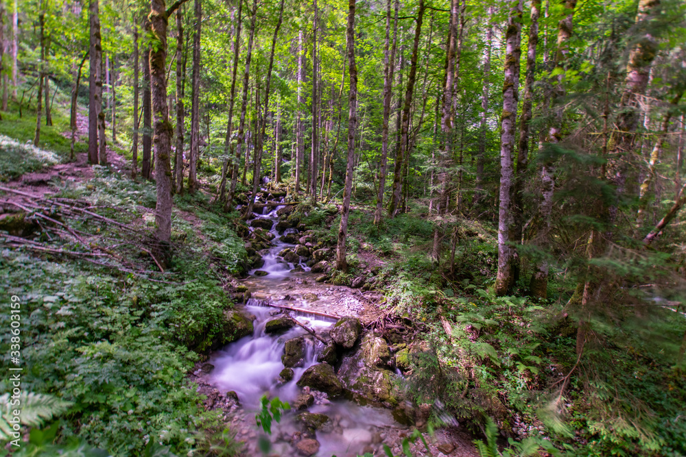 Fototapeta premium Röthbach Waterfall in Germany
