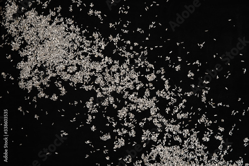 rice