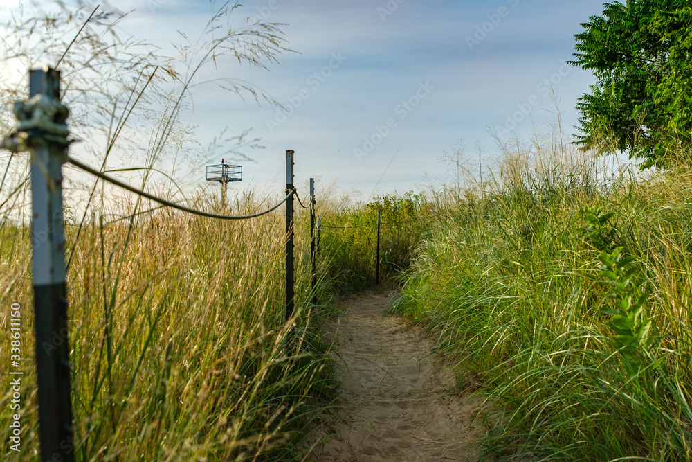 Path through field of tall grasses in a nature preserve Path through field of tall grasses in a nature preserve