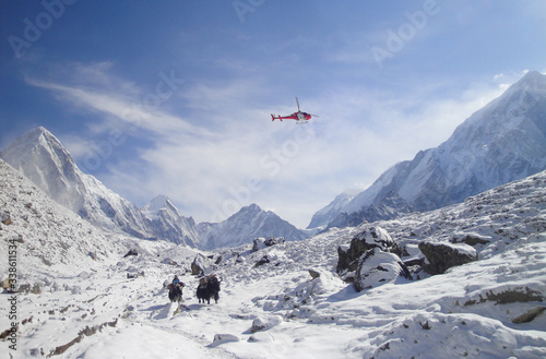 rescue helicopter and yaks in Everest Base Camp