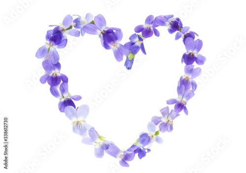 Heart symbol made of fresh purple Violet flowers isolated on white background. Love concept for Valentine's and Mother's Day