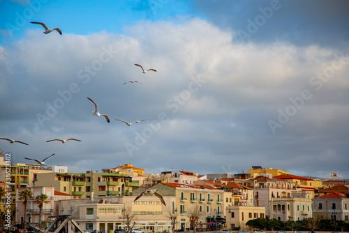 Birds in the sky of Alghero city, Sardinia
