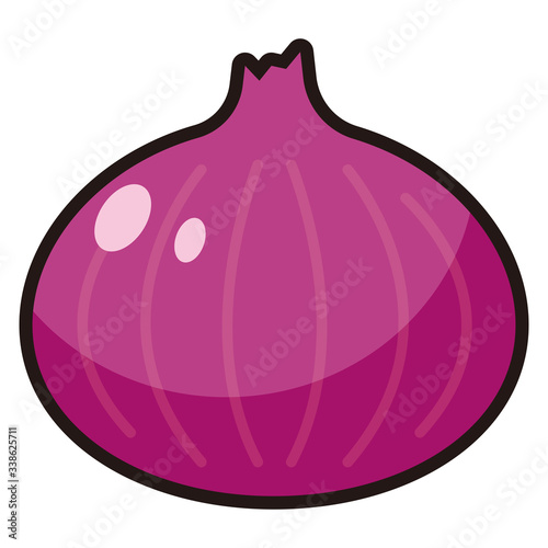 紫玉ねぎのアイコン -vector icon Onion