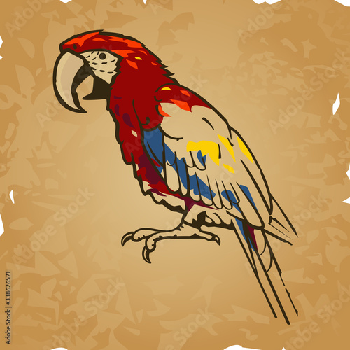Vector illustration of a macaw parrot on a worn parchment background. Can represent pirates, nature, the tropics, the Caribbean, Southern countries, conservation, the rain forest, a pet bird, endanger
