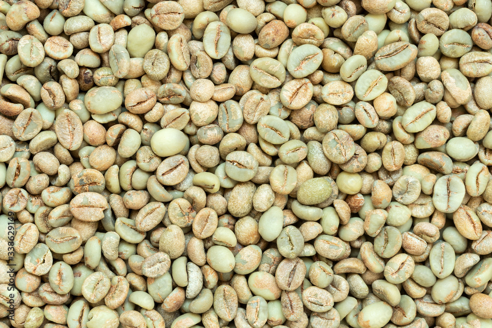 Green coffee beans for background Green coffee beans for background