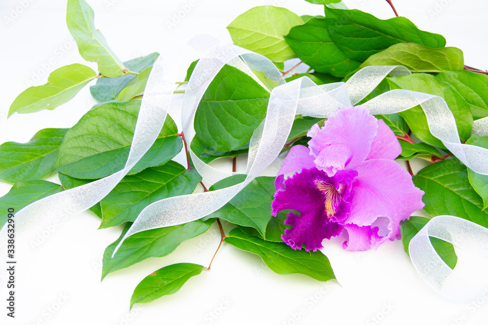 美しくて ゴージャスなカトレアとレモンリーフの花束 Stock Photo Adobe Stock 美しくて ゴージャスなカトレアとレモンリーフの花束 Stock Photo Adobe Stock