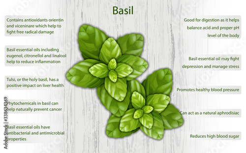 Basil health benefits infographics on wooden background