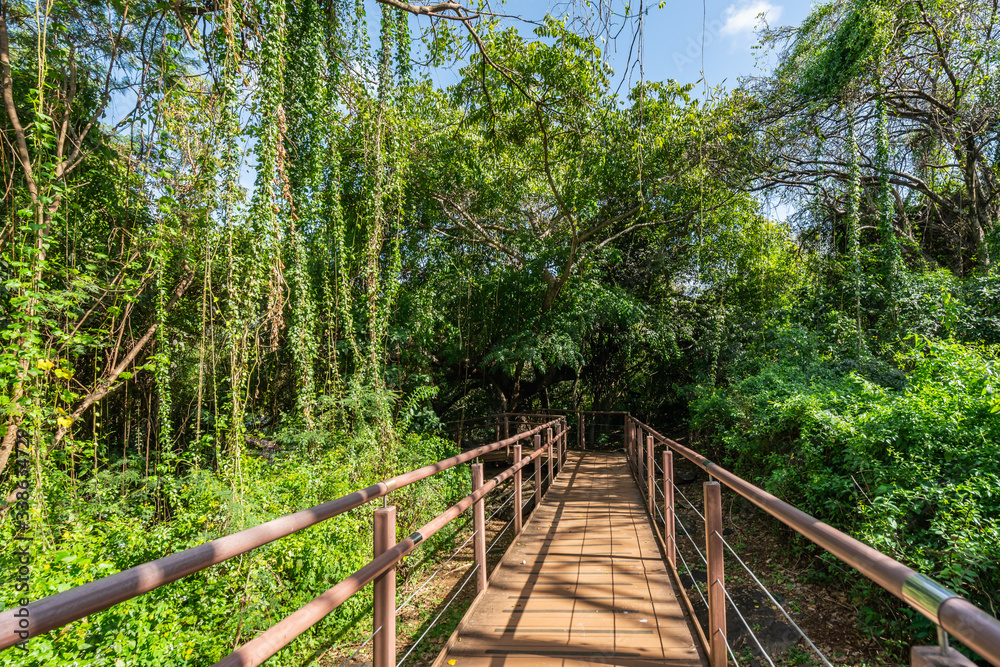 Beautiful Green Trail to Sancho Beach, Fernando de Noronha Marine National Park, a Unesco World Heritage site, Pernambuco, Brazil Beautiful Green Trail to Sancho Beach, Fernando de Noronha Marine National Park, a Unesco World Heritage site, Pernambuco, Brazil
