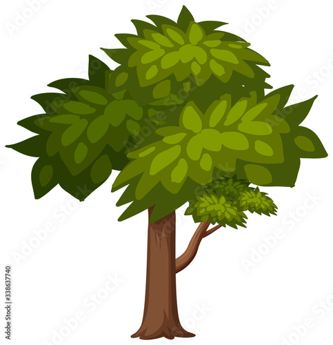 One big tree on white background