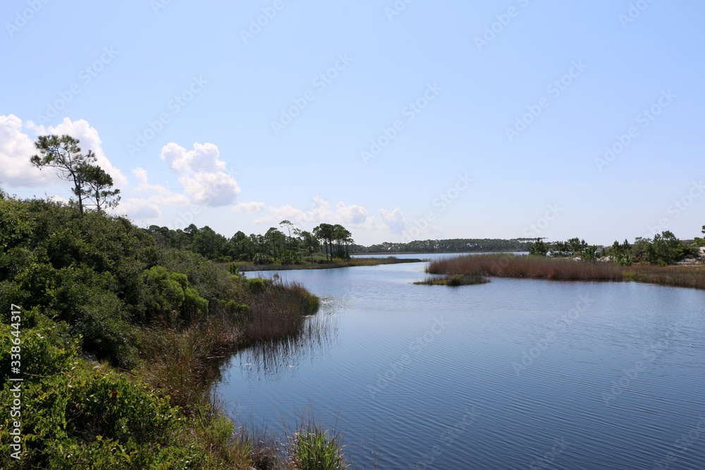santa rosa florida state park pond, marsh grasses, trees, scenic landscape with blue sky background