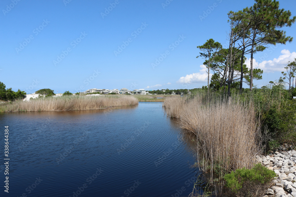 santa rosa florida state park pond, marsh grasses, trees, scenic landscape with blue sky background santa rosa florida state park pond, marsh grasses, trees, scenic landscape with blue sky background