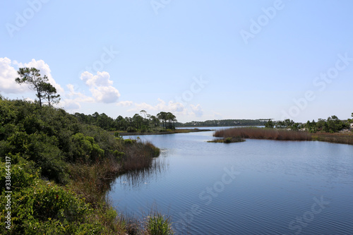 santa rosa florida state park pond, marsh grasses, trees, scenic landscape with blue sky background © lightrapture