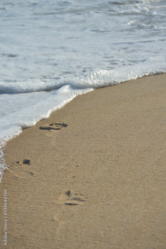 footsteps on the beach footsteps on the beach