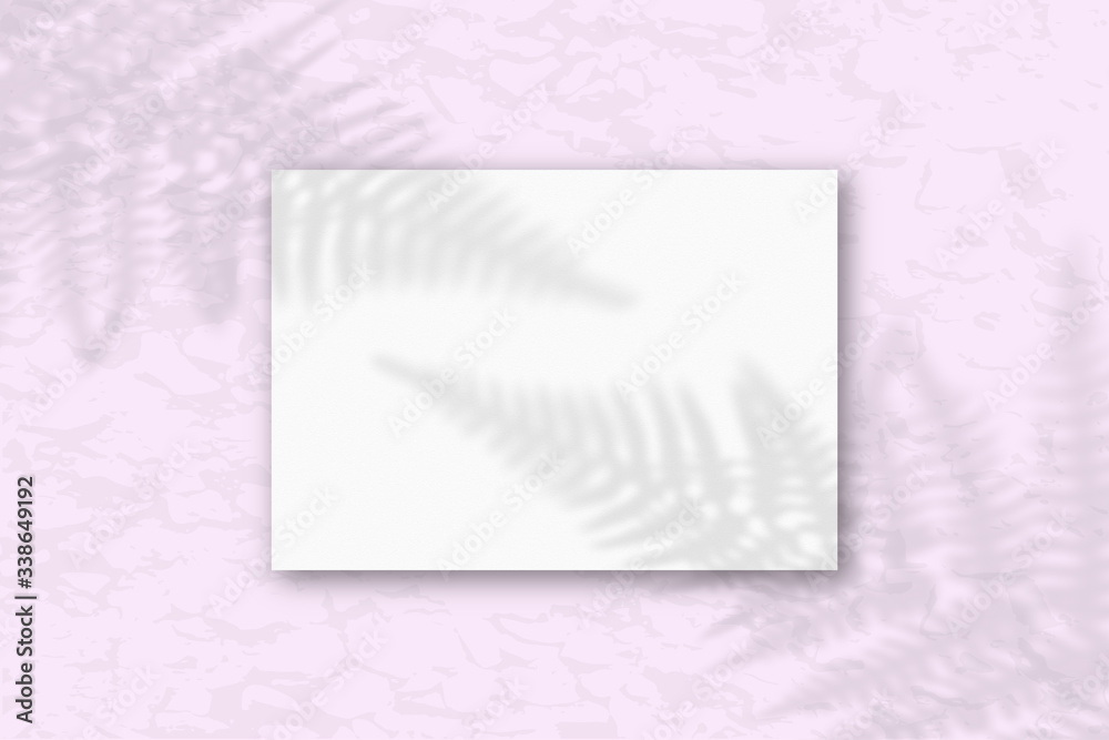 3 square sheets of white textured paper on the g wall background. Mockup with an overlay of plant shadows. Natural light casts shadows from the fern leaves. Flat lay, top view 3 square sheets of white textured paper on the g wall background. Mockup with an overlay of plant shadows. Natural light casts shadows from the fern leaves. Flat lay, top view