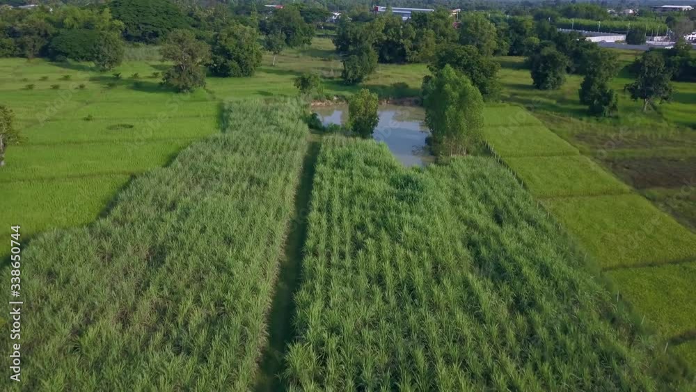 Aerial view of landscape countryside and rice field with rural village in thailand. Aerial view of landscape countryside and rice field with rural village in thailand.