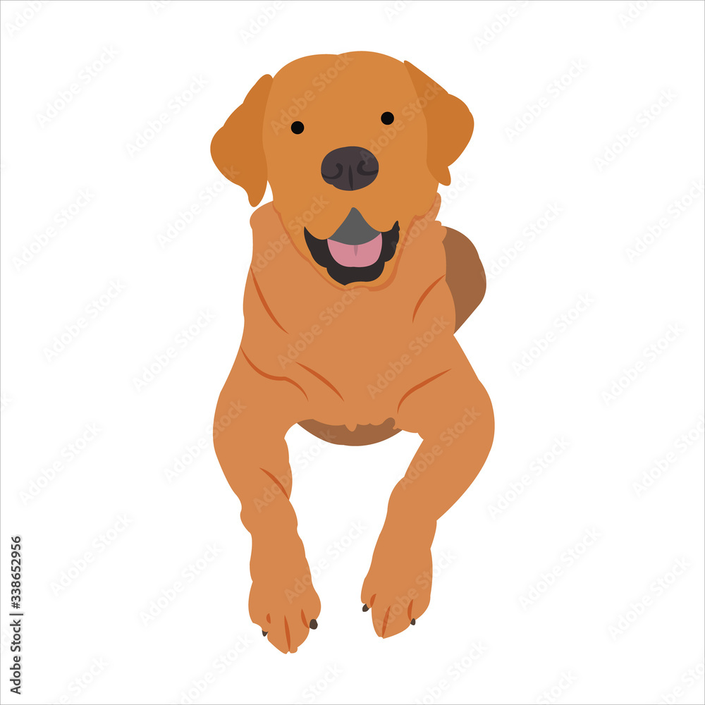 Funny dog clip art illustration with cartoon style Funny dog clip art illustration with cartoon style