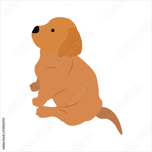Funny dog clip art illustration with cartoon style