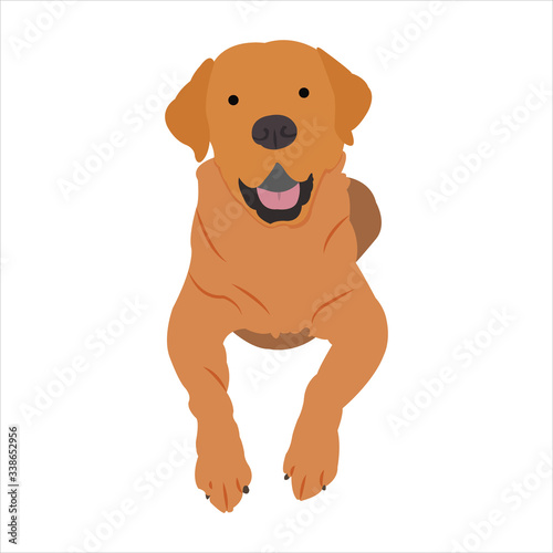 Funny dog clip art illustration with cartoon style