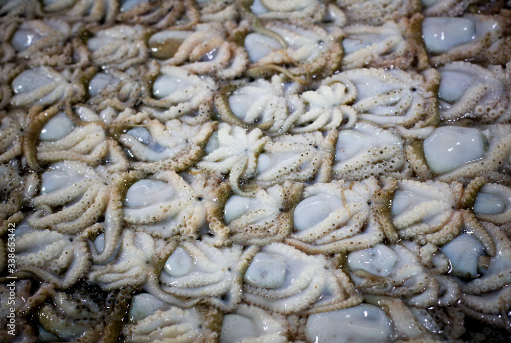 Raw octopus selling in seafood market