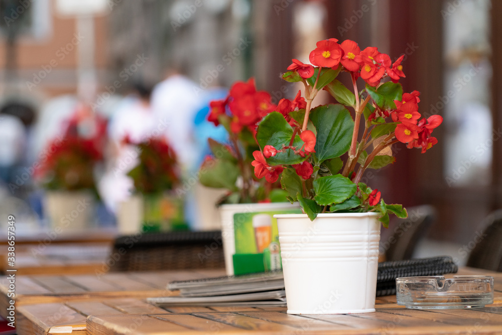 Flowers tables and chairs of an outdoor cafe in europe Flowers tables and chairs of an outdoor cafe in europe
