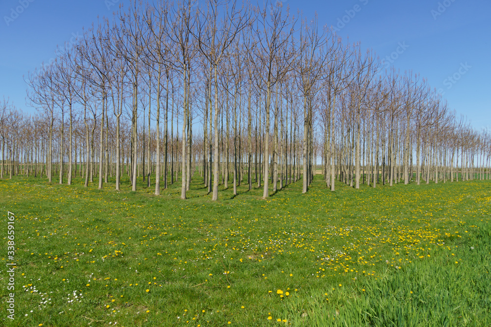 Obraz premium Rund um Rheinbach