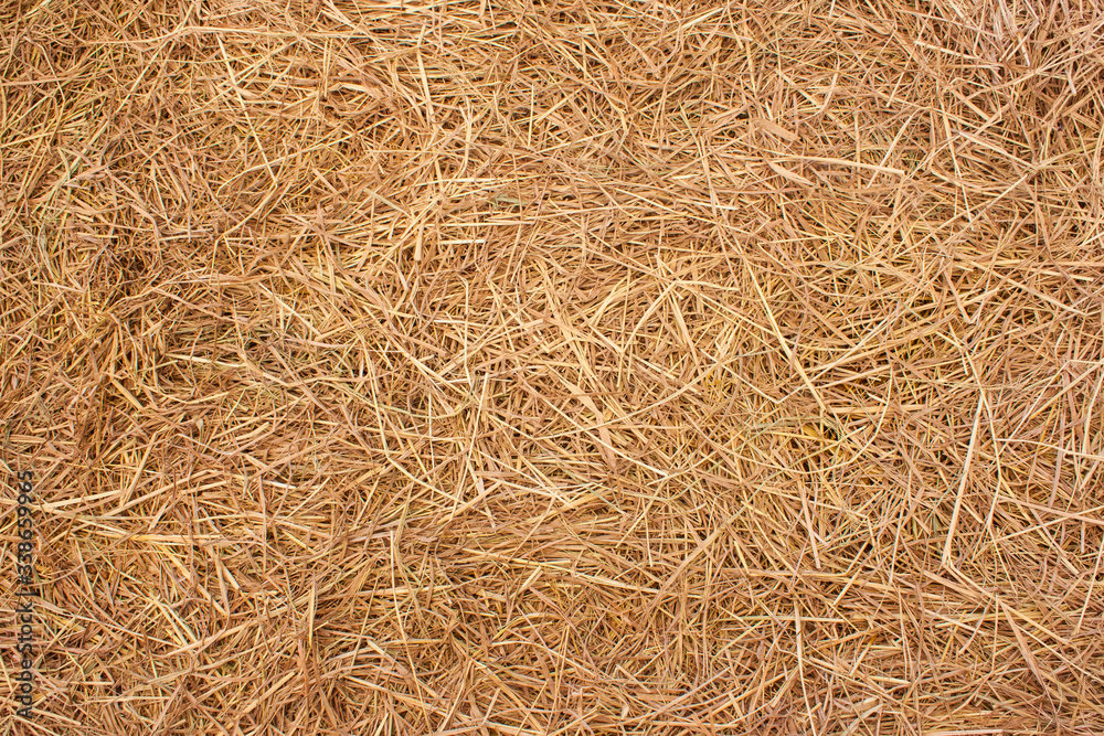 Straw surface texture. Cultivate and harvest concept. Straw surface texture. Cultivate and harvest concept.