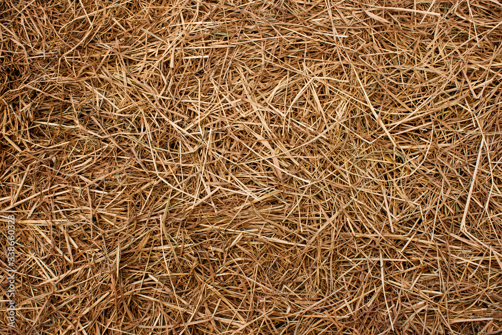 Straw surface texture. Cultivate and harvest concept. Straw surface texture. Cultivate and harvest concept.
