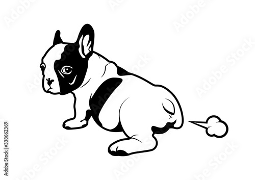 Cute black & white french bulldog puppy is farting and look ! what this smell like? Frenchie art in black and white style.