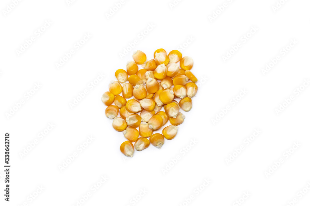 Fototapeta premium Corn on the cob kernels isolated on white background