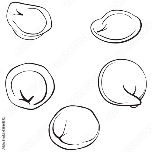 Pelmeni line art. dumplings solated on white
