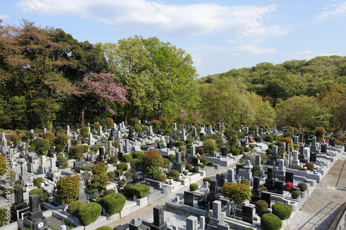 新緑の墓地（埼玉）　cemetery in spring, JAPAN