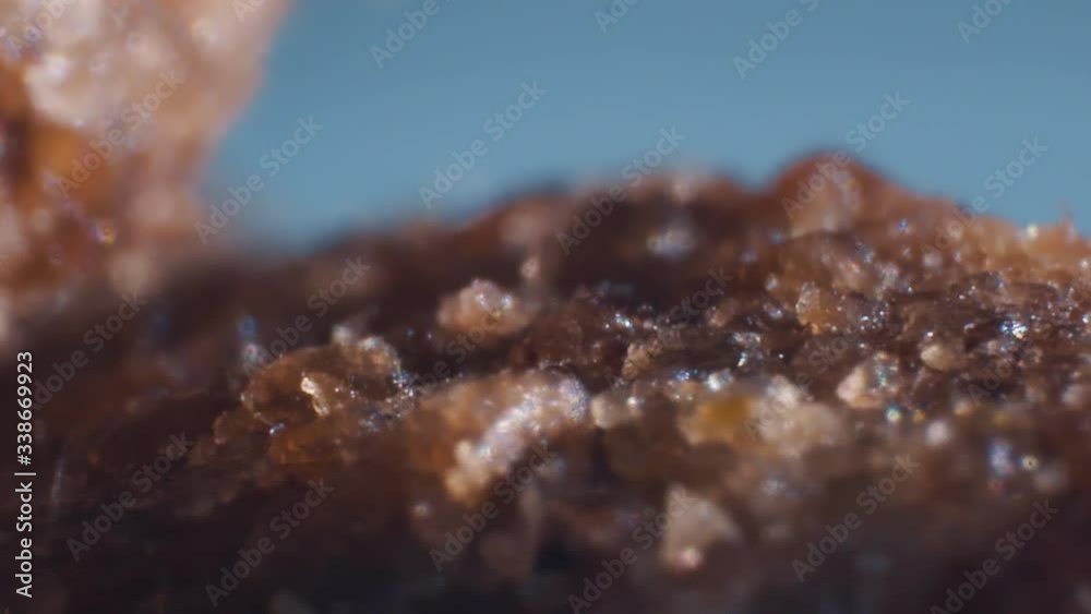 Close up to dog food macro shot show its the texture Close up to dog food macro shot show its the texture